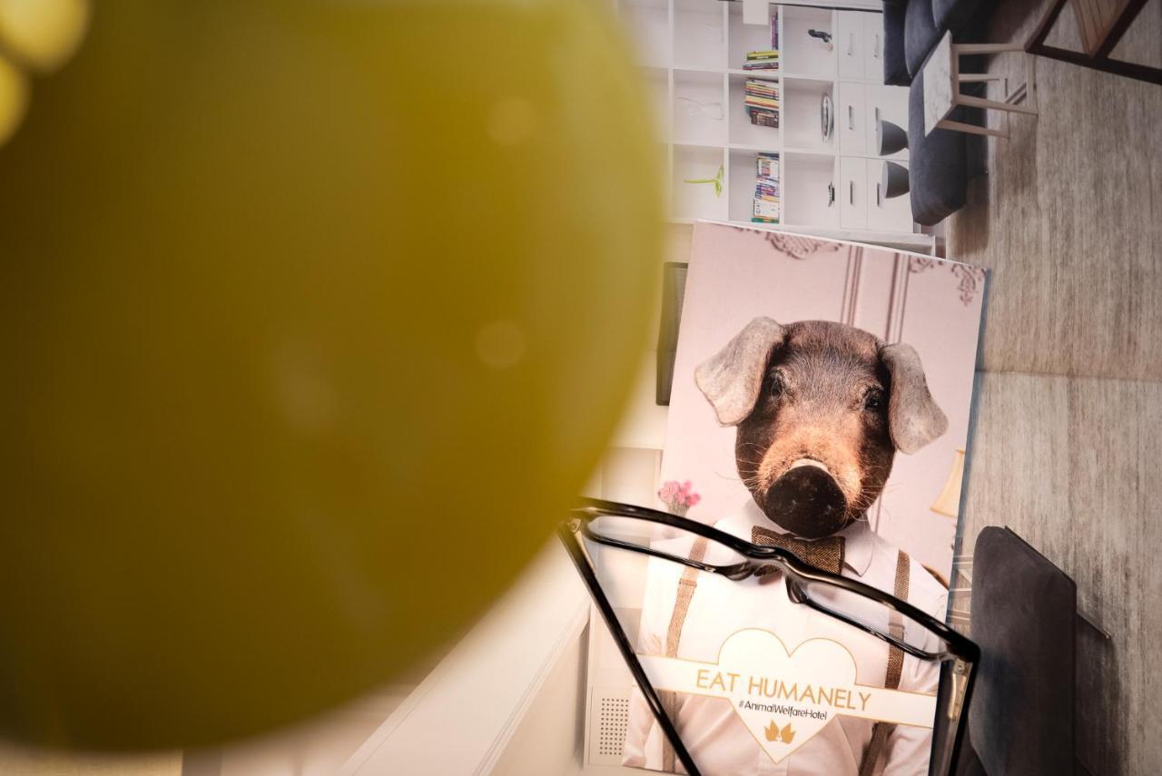 Single Room with Balcony,925888357:JPEG