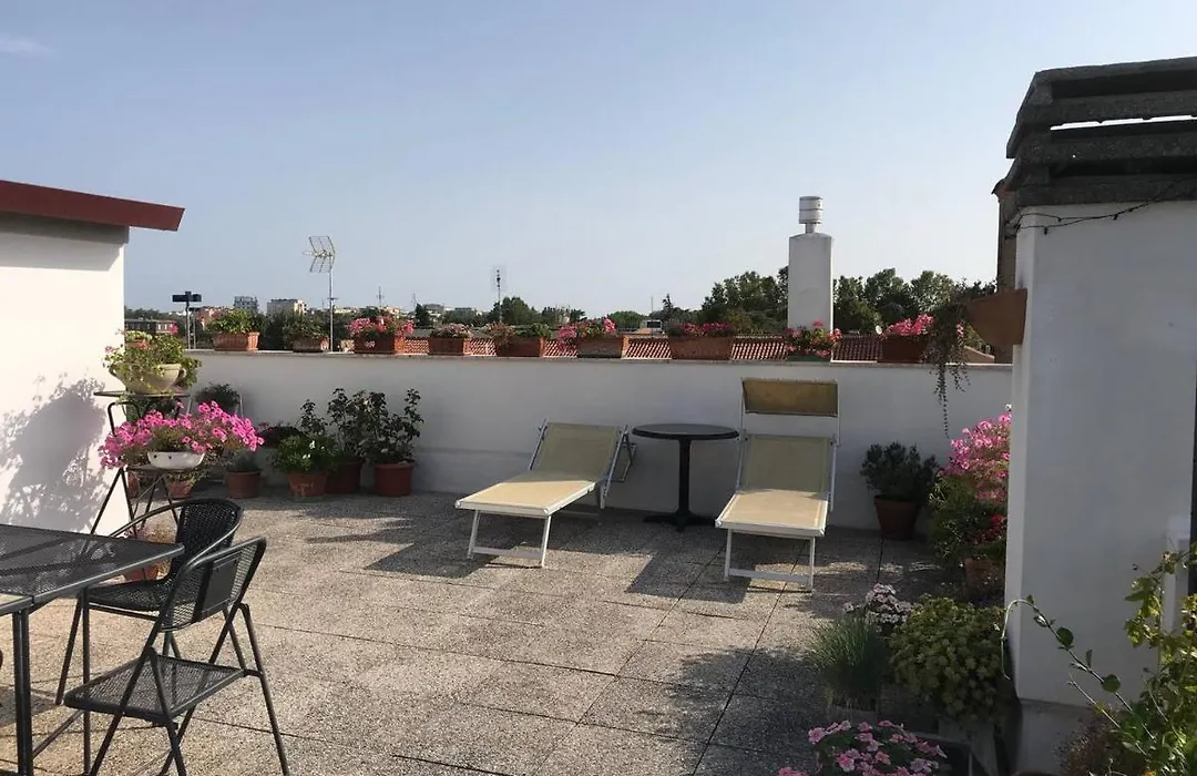B&B Rooftop51-1
