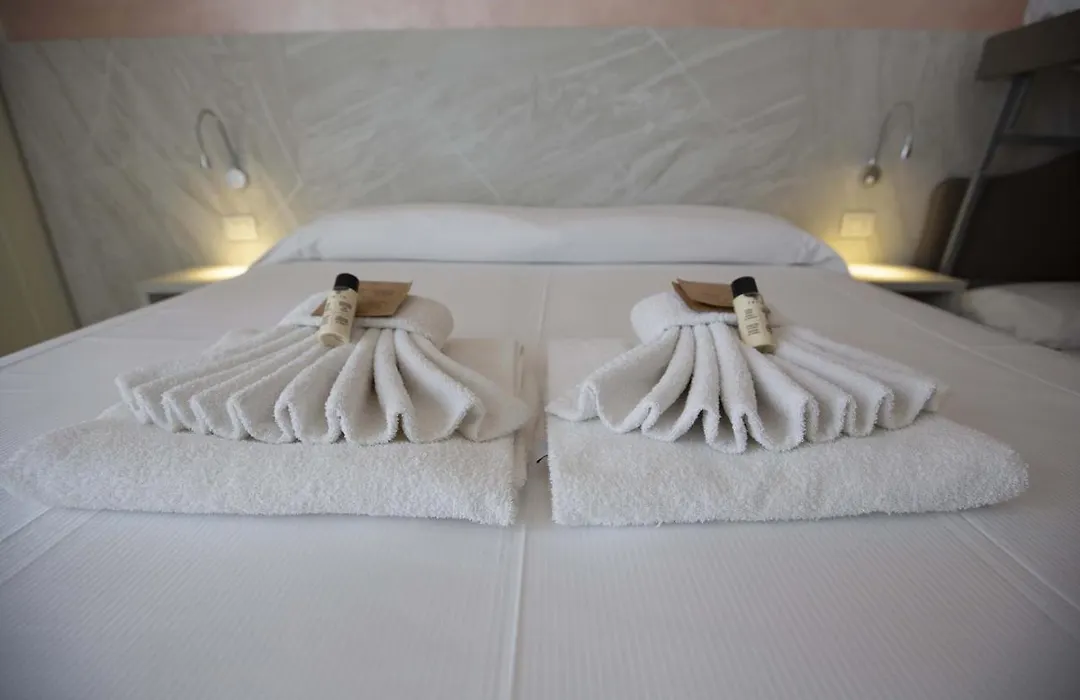 Hotel Confort-1