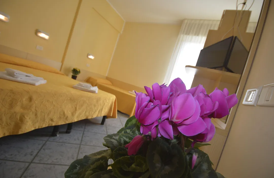 Hotel Corona-1