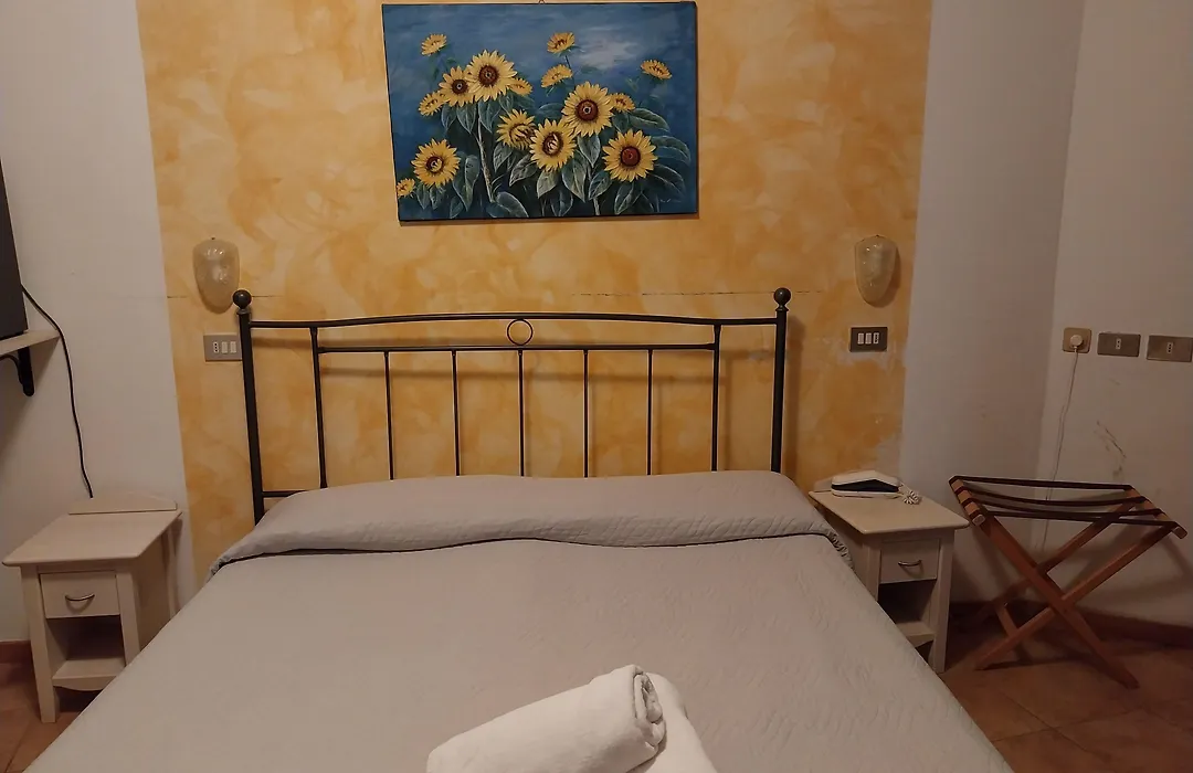 Hotel Carol-1