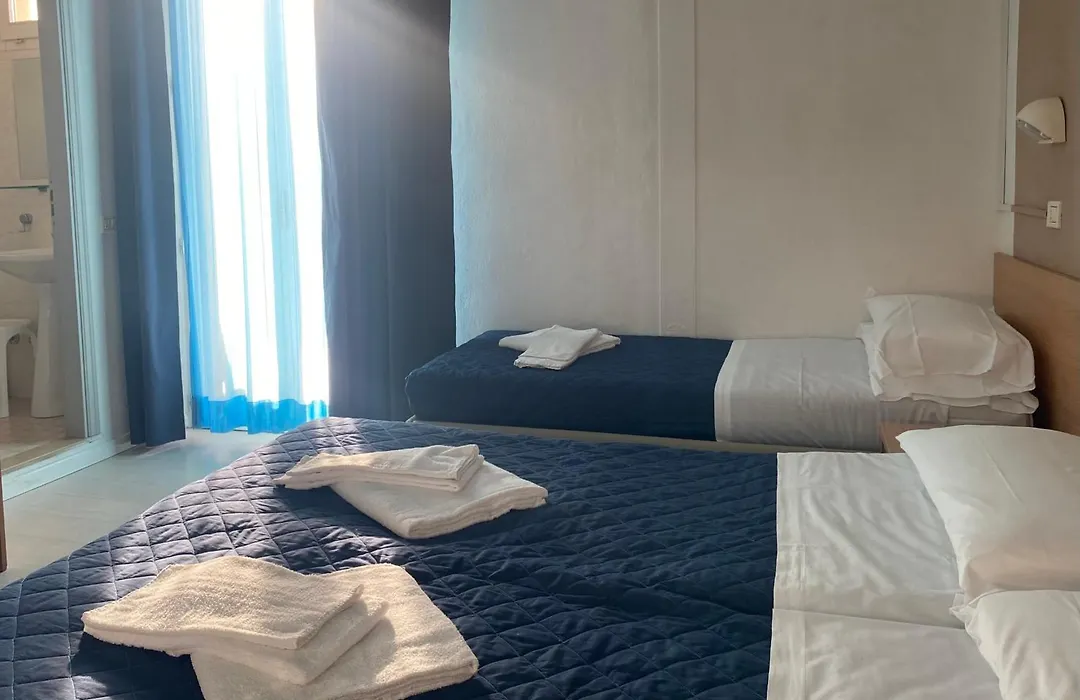 Hotel New Primula-1
