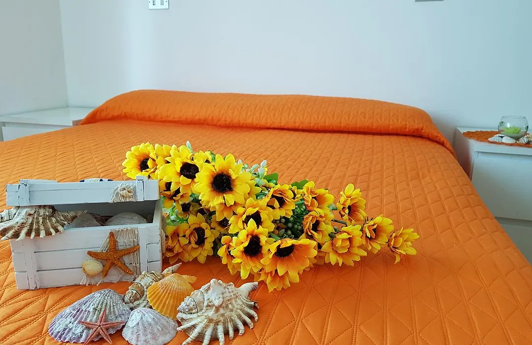 Hotel Alba-1