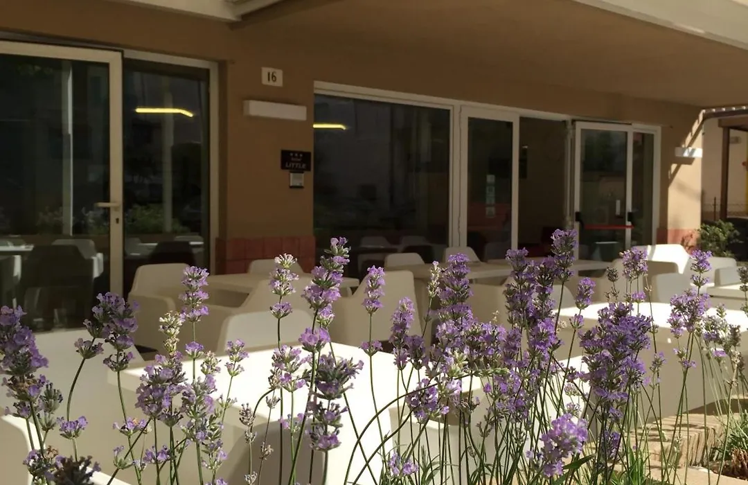 Hotel Little-1