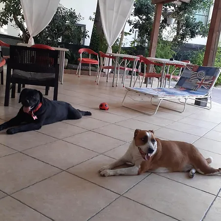 Hotel Migani-3