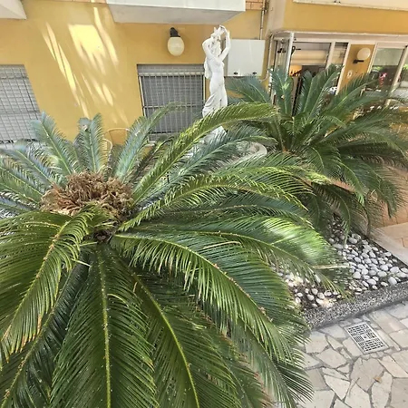 Hotel Majorca Nuova Gestione Rimini 100 M Dalla Spiaggia-2