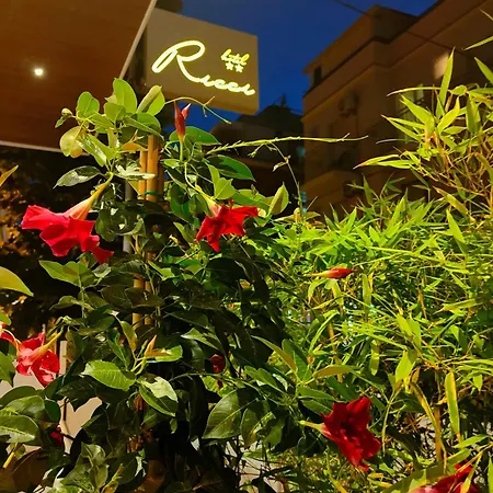 Hotel Ricci-3