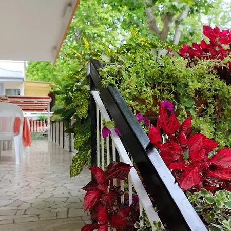 Hotel Samoa-2